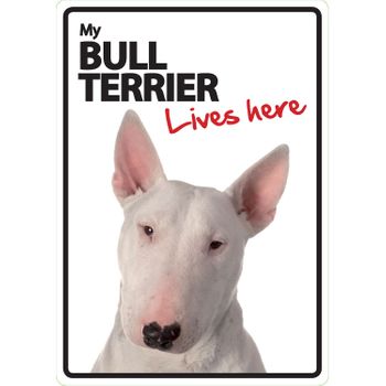 Magnet & Steel Señal A5 'bull Terrier - Lives Here'