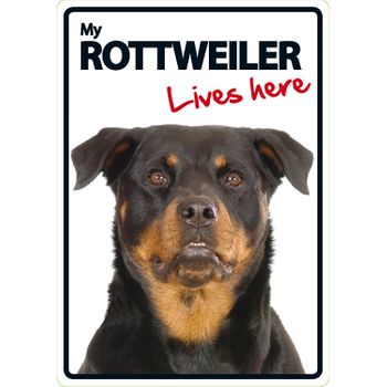 Magnet & Steel Señal A5 'rottweiler - Lives Here'