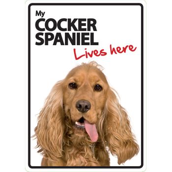 Magnet & Steel Señal A5 'cocker Spaniel - Lives Here'