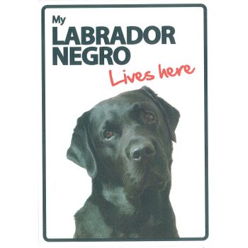Magnet & Steel Señal A5 'my Labrador Negro - Lives Here'