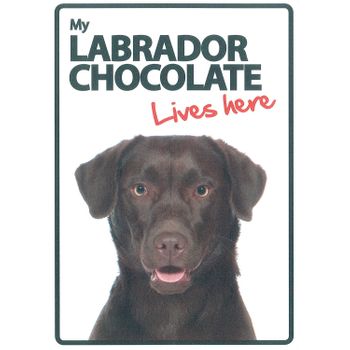 Magnet & Steel Señal A5 'labrador Chocolate - Lives Here'