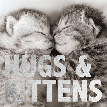 Magnet & Steel Tarjeta B/n Gatitos 'hugs & Kittens'