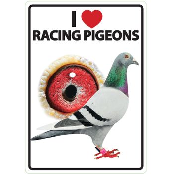 Magnet & Steel Señal A5 'i Love Racing Pigeons'