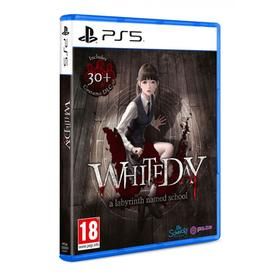 White Day  A Labyrinth Named School Ps5