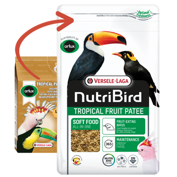 Nutribird Tropical Fruit Patee 1 Kg