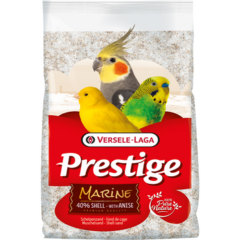 Prestige Shell Sand Marine Fondo Jaula 25 Kg