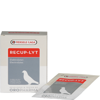 Oropharma Recup-lyt 240g