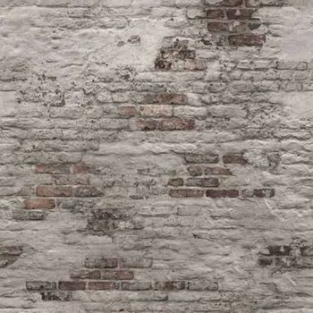 Mural Fotográfico Old Brick Wall Gris Dutch Wallcoverings