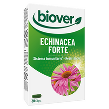 Biover Echinacea Forte 30 Cápsulas