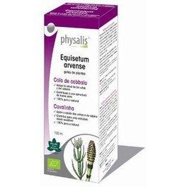 Physalis Equisetum Arvense 100 Ml