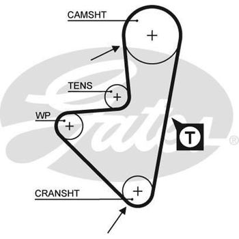 Timing 5347xs Correa