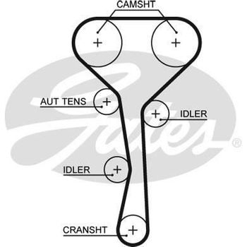 Timing 5507xs Correa