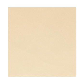 Hoja De Piel Sintética 350 G / M² - 30 X 30 Cm - Beige