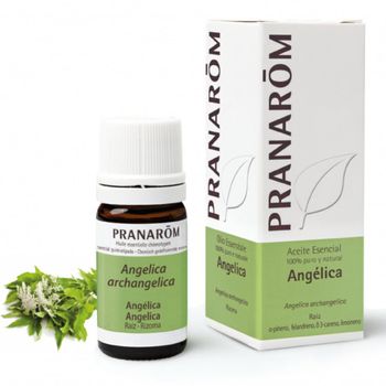 Aceite Esencial Angélica, Pranarôm 5 Ml