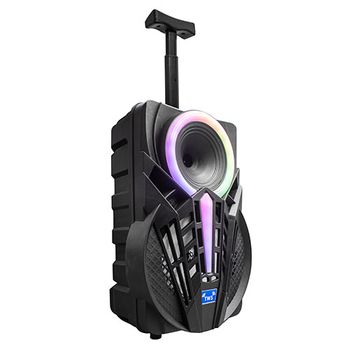 Trolley Altavoz Bluetooth 8" Denver