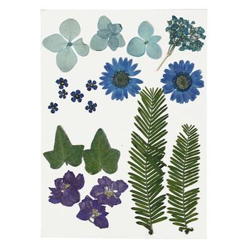 Flores Secas Y Hojas Prensadas - Azul - Unas 19 Piezas