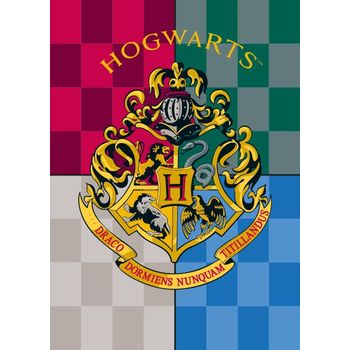 Manta Harry Potter. Tamaño 100 X 150 Cm. Licencia Oficial con Ofertas en  Carrefour