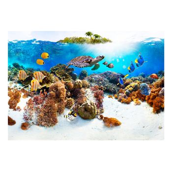 Papel Pintado 3d -  Arrecife De Coral (350x245 Cm)
