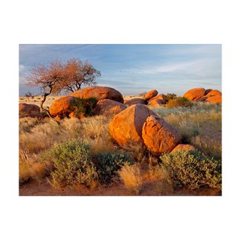 Papel Pintado 3d -  Paisaje Africano, Namibia (250x193 Cm)