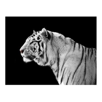 Papel Pintado 3d -  Un Tigre Blanco (200x154 Cm)