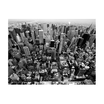 Papel Pintado 3d -  Ee.uu., Nueva York: Blanco Y Negro (350x270 Cm)