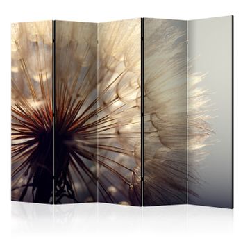 Biombo - Dandelion Kiss Ii  (225x172 Cm)