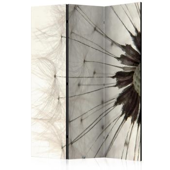 Biombo - White Dandelion  (135x172 Cm)