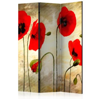 Biombo - Golden Field Of Poppies  (135x172 Cm)