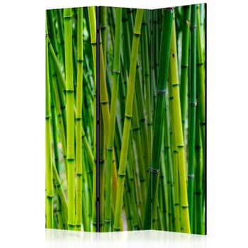 Biombo - Bamboo Forest  (135x172 Cm)