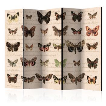 Biombo - Retro Style: Butterflies Ii  (225x172 Cm)