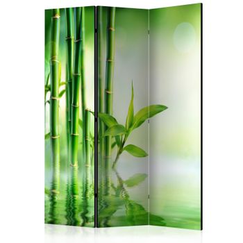 Biombo - Green Bamboo  (135x172 Cm)