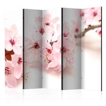 Biombo -  Cherry Blossom Ii  (225x172 Cm)
