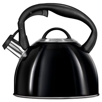 Comprar Tetera con silbato de acero inoxidable de 2,5l, Cocina de Inducción  Compatible con alerta de silbato fuerte, tetera con mango de madera a  prueba de calor