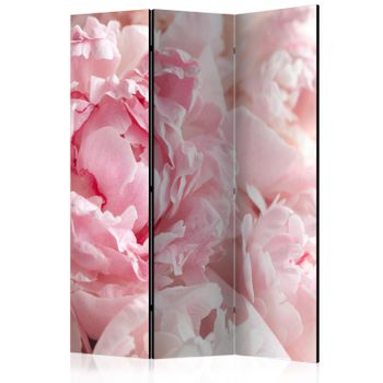 Biombo - Sweet Peonies  (135x172 Cm)