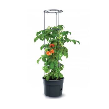 Macetero Maceta Cultivo De Tomate 28l