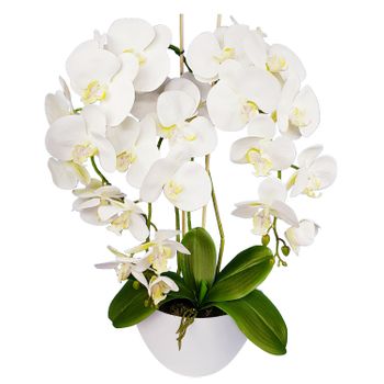 Orquídea Artificial Decoración De Flores Damich Spotted Color Blanco