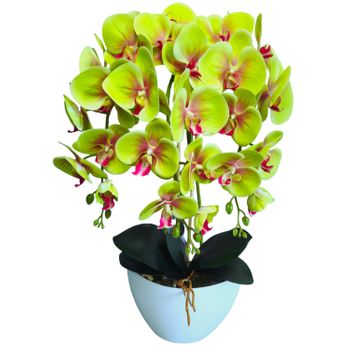 Damich Orquídea Artificial De Caucho Con 3 Ramas, Color Verde, 3pgz