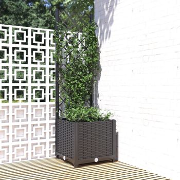 Jardinera | Macetero Con Enrejado Pp Negro 40x40x136 Cm Cfw3594096