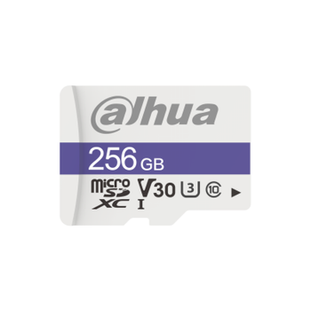 Dahua Technology C100 256 Gb Microsdxc Uhs Clase 10