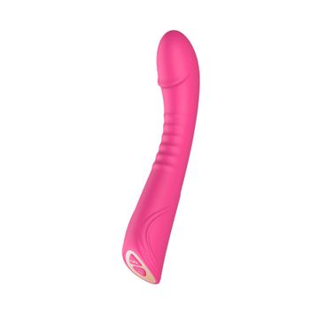 Vibrador Vagina Clítoris Masajeador Juguetes Eróticos Para Mujeres (rojo)