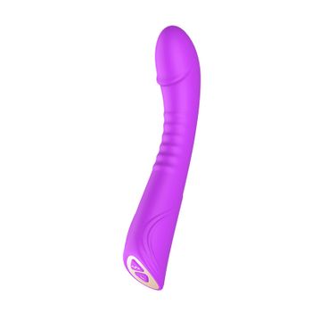 Vibrador Vagina Clítoris Masajeador Juguetes Eróticos Para Mujeres (morado)