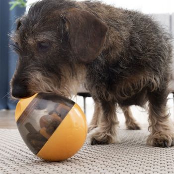 Juegos Juguetes Inteligencia Perros Grandes Medianos Y Pequeños. Dispensador De Premios.