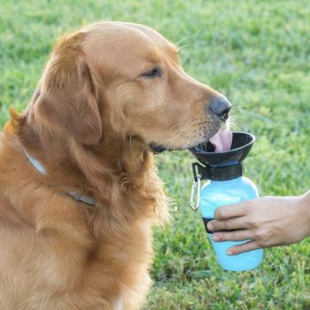 Bebedero Portátil Para Perros Grandes, Medianos Pequeños. Bebedero Paseo