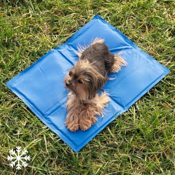 Cama Esterilla Portátil De Perro Relax Refrigerante  Mascotas. Alfombra Refrescante Perro