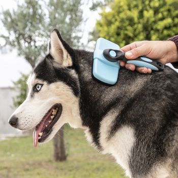 Cepillo Para Pelo Mascotas Perro. Cepillo Peine Con Púas Retráctiles