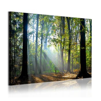 Panorama® Lienzo Lechuza Izquierda 21x30cm, Impreso En Lienzo Alta Calidad  Con Bastidor, Cuadros Decoración Salón, Cuadros Para Dormitorio, Cuadros Lienzos  Decorativos, Cuadros Modernos Zen con Ofertas en Carrefour