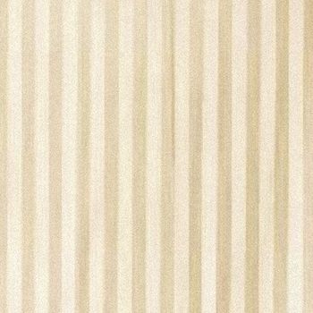 Cortina Ducha Tela Rayas Beige 180x200 Cm - Neoferr..