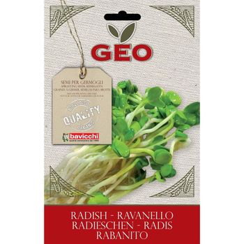 Semillas Germinado Rabanito, Bavicchi Geo 30g