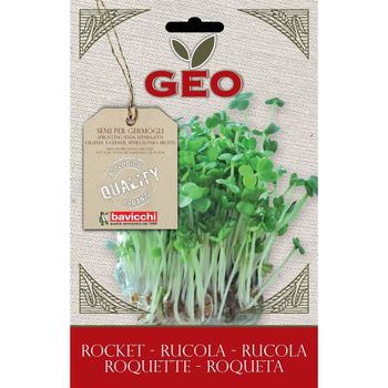 Semillas Germinado Rúcula, Bavicchi Geo, 30g