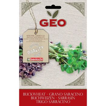 Semillas Germinado Grano Sarraceno, Bavicchi Geo, 90g